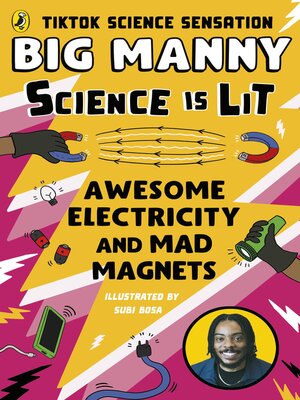 cover image of Awesome Electricity and Mad Magnets